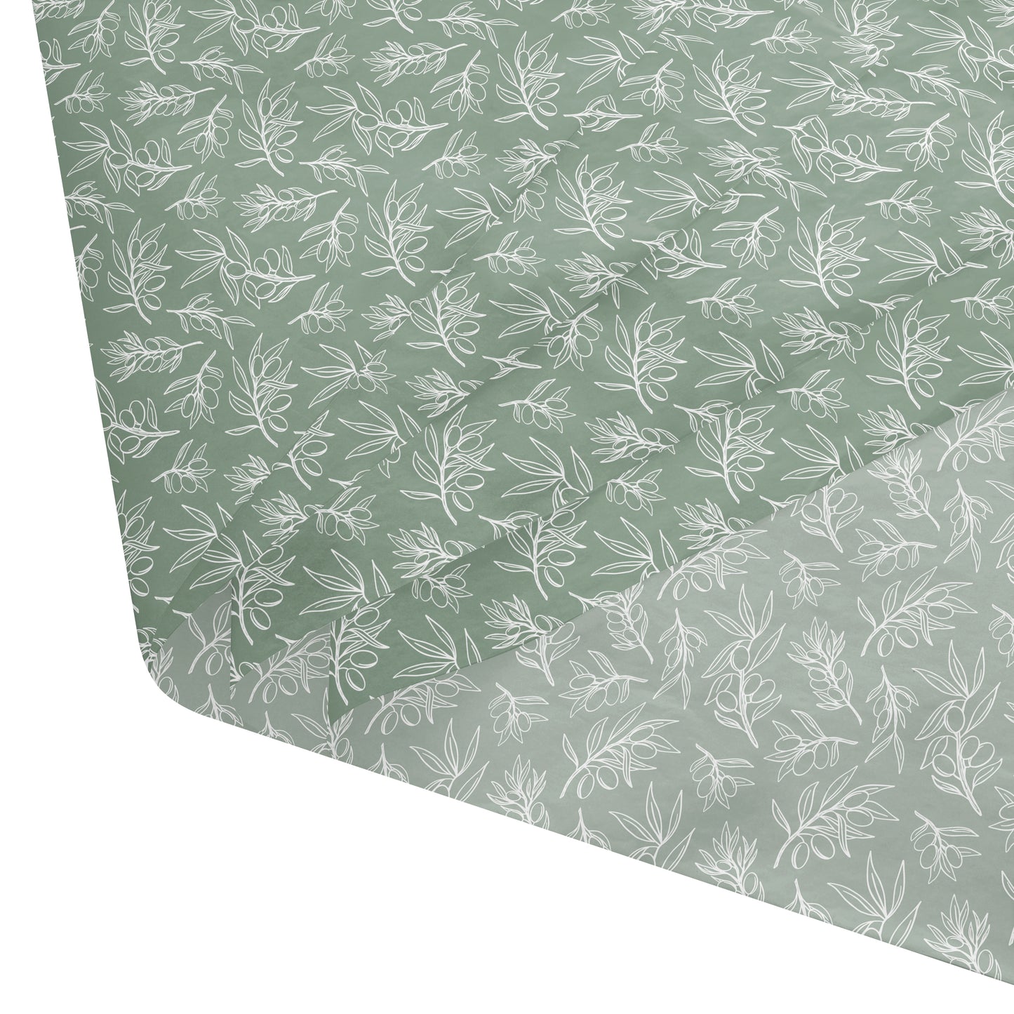 Olive Branch Tissue Paper, Pack of 6
