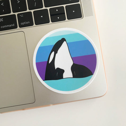 Spyhopping Orca Sticker